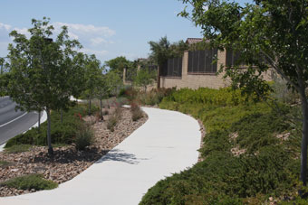 Photo of Desert Foothills Drive Trail