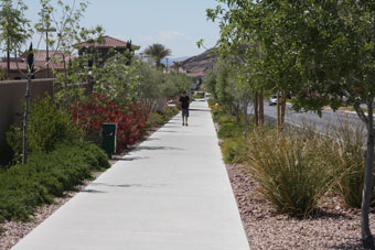 Photo of Desert Foothills Drive Trail