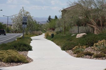 Photo of Desert Foothills Drive Trail