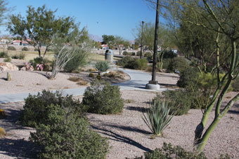 Photo of Desert Horizons Park Loop Trail