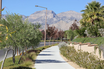 Photo of Desert Sunrise Road Trail