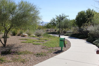 Photo of Desert Sunrise Road Trail