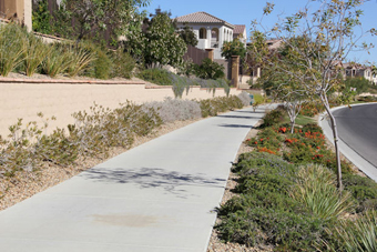 Photo of Desert Sunrise Road Trail