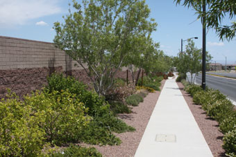 Photo of W. Dorrell Lane Trail