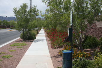 Photo of W. Dorrell Lane Trail