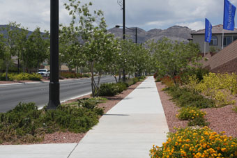 Photo of W. Dorrell Lane Trail