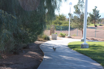 Photo of Durango Hills Park Loop Trail