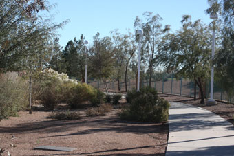 Photo of Durango Hills Park Loop Trail