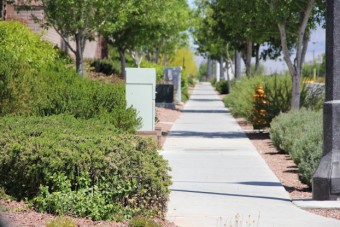 Photo of Egan Crest Way Trail