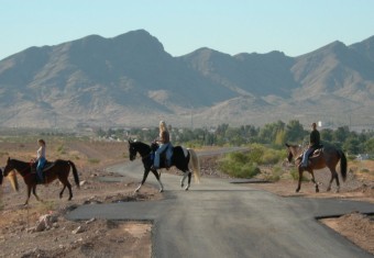 Photo of Equestrian Park Trails