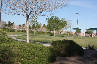 Photo of Estelle Neal Park Loop Trail