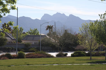 Photo of Estelle Neal Park Loop Trail