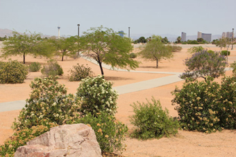 Photo of Firefighters Memorial Park Loop Trail