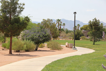 Photo of Firefighters Memorial Park Loop Trail