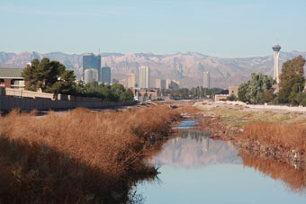 Photo of Flamingo Arroyo Trail