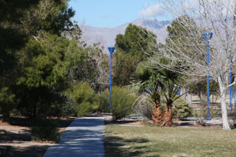 Photo of Nicholas Flores Park Loop Trail