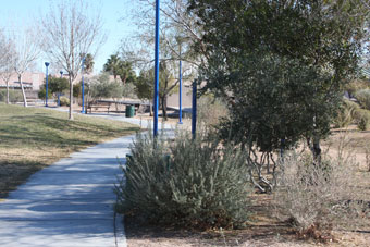 Photo of Nicholas Flores Park Loop Trail