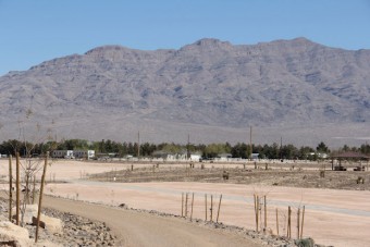 Photo of Floyd Lamb Park Nature Trails