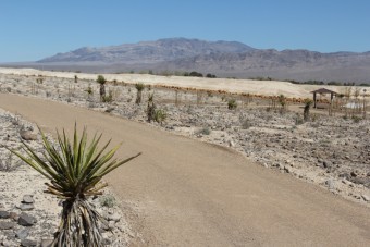 Photo of Floyd Lamb Park Nature Trails