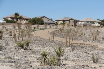 Photo of Floyd Lamb Park Nature Trails