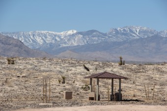 Photo of Floyd Lamb Park Nature Trails