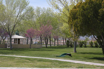 Photo of Floyd Lamb Park Trail