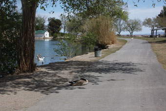 Photo of Floyd Lamb Park Trail