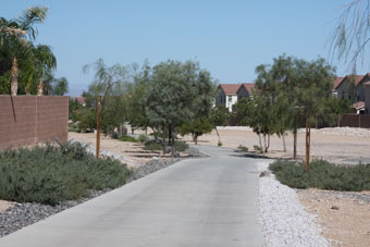 Photo of Fort Apache Drainage Trail