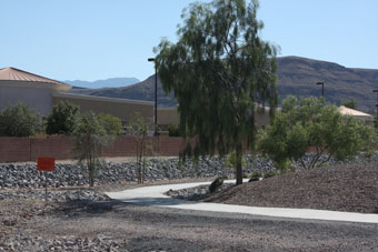 Photo of Fort Apache Drainage Trail