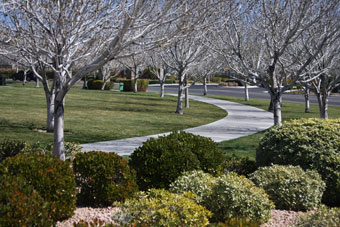 Photo of Gardens Park Loop Trail