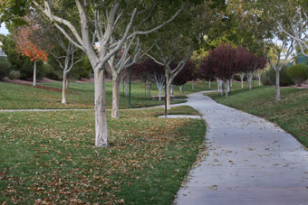 Photo of Goett Family Park Wash Trail