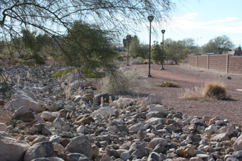 Photo of Gold Crest Park Trail