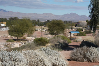 Photo of Gold Crest Park Trail