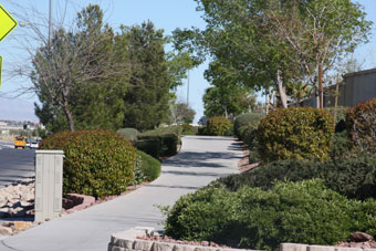 Photo of Grand Teton Drive Trail