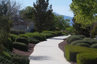 Photo of Grand Teton Drive Trail