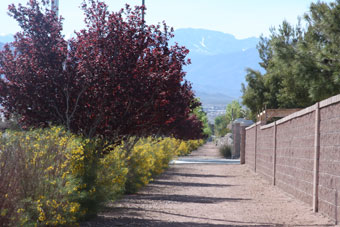 Photo of Grand Teton Drive Trail