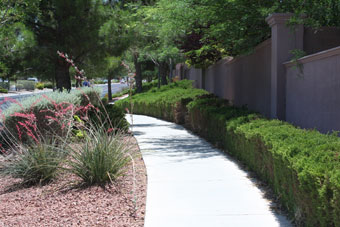 Photo of Green Valley Parkway Trail