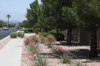 Photo of Green Valley Parkway Trail