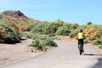 Photo of Wetlands Trail Connector