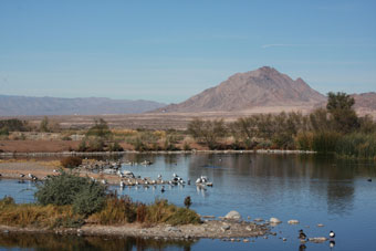 Photo of Henderson Bird Viewing Preserve Trails