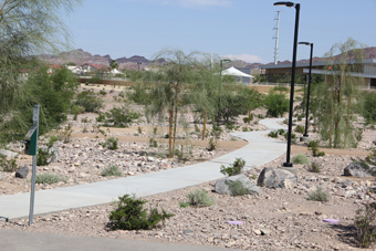 Photo of Heritage Park  Trails