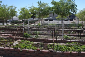 Photo of Cherry Street Trail