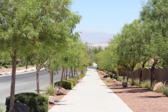 Photo of Horizon Ridge Trail