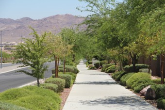 Photo of Horizon Ridge Trail