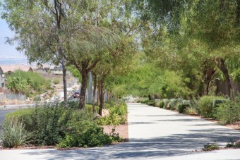 Photo of Horizon Ridge Trail