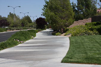 Photo of Inzalaco Family Park Loop Path