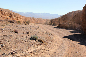 Photo of Kodachrome Trail