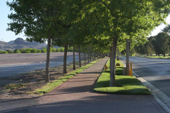 Photo of Lake Las Vegas Northshore Trail