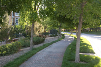 Photo of Lake Las Vegas Northshore Trail