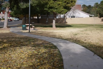 Photo of Laurelwood Park Loop Path